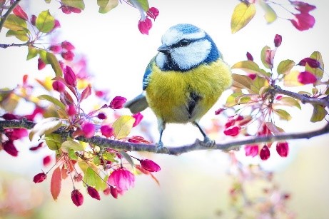 Frühlingserwachen im Rosengut Langerwisch