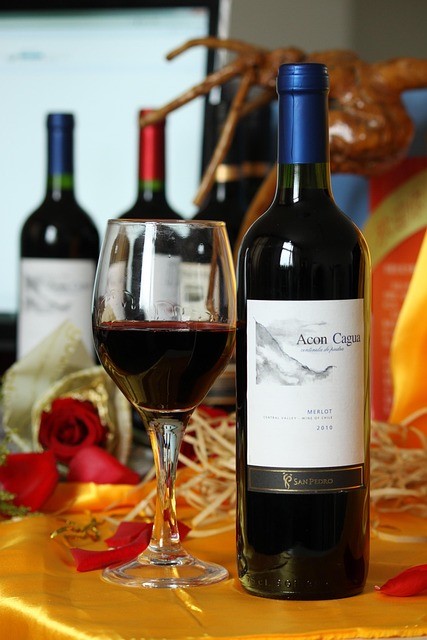 Auf zum Weinfest nach Meißen