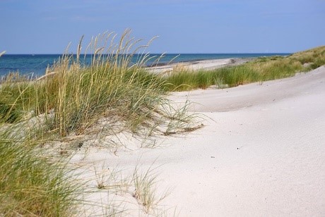 Ahrenshoop oder Prerow