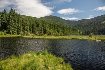 Eine Woche im Naturpark Bayerischer Wald
