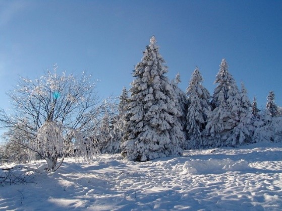 Advent im Harz – von Markt zu Markt